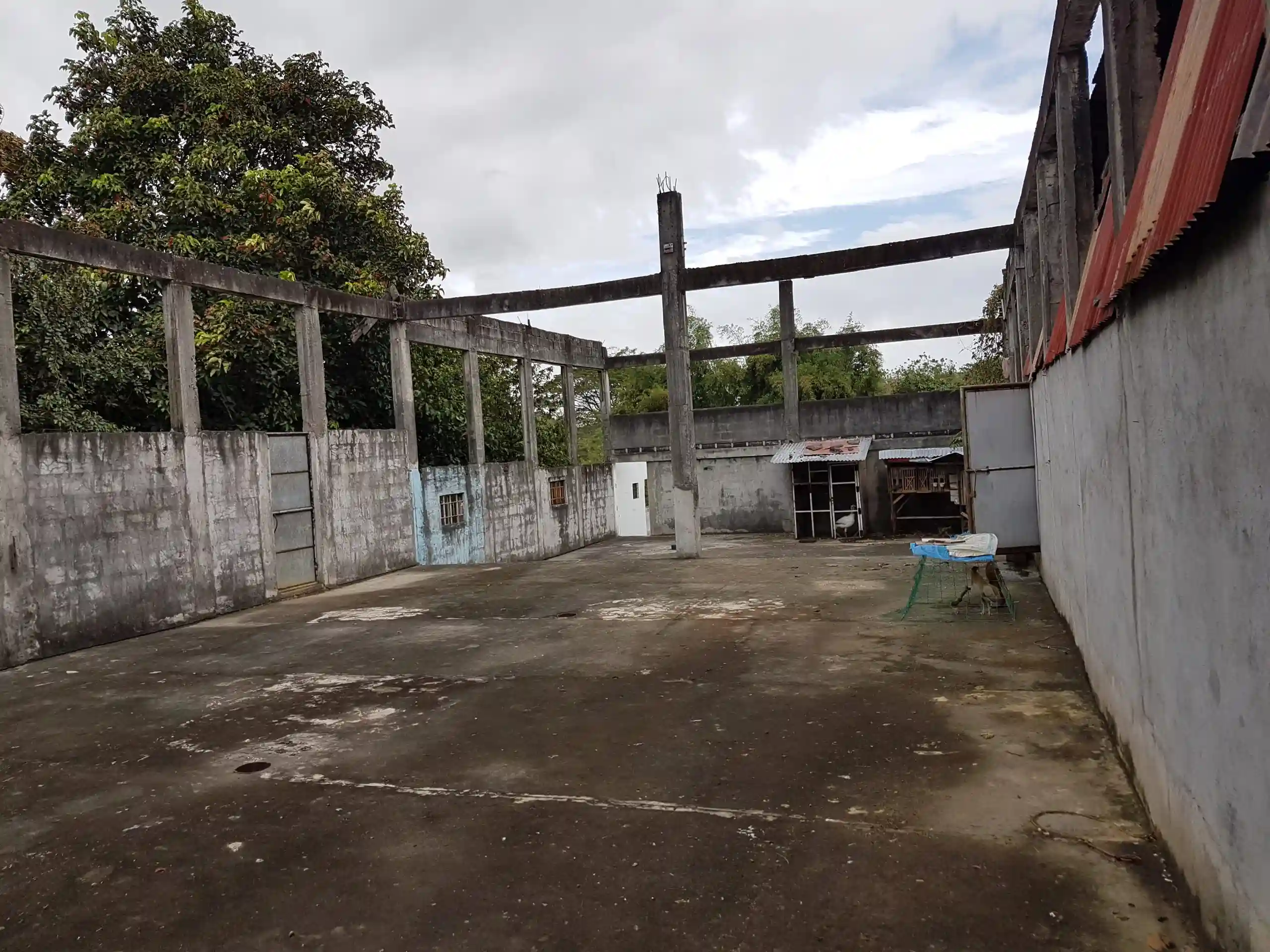 Property 32